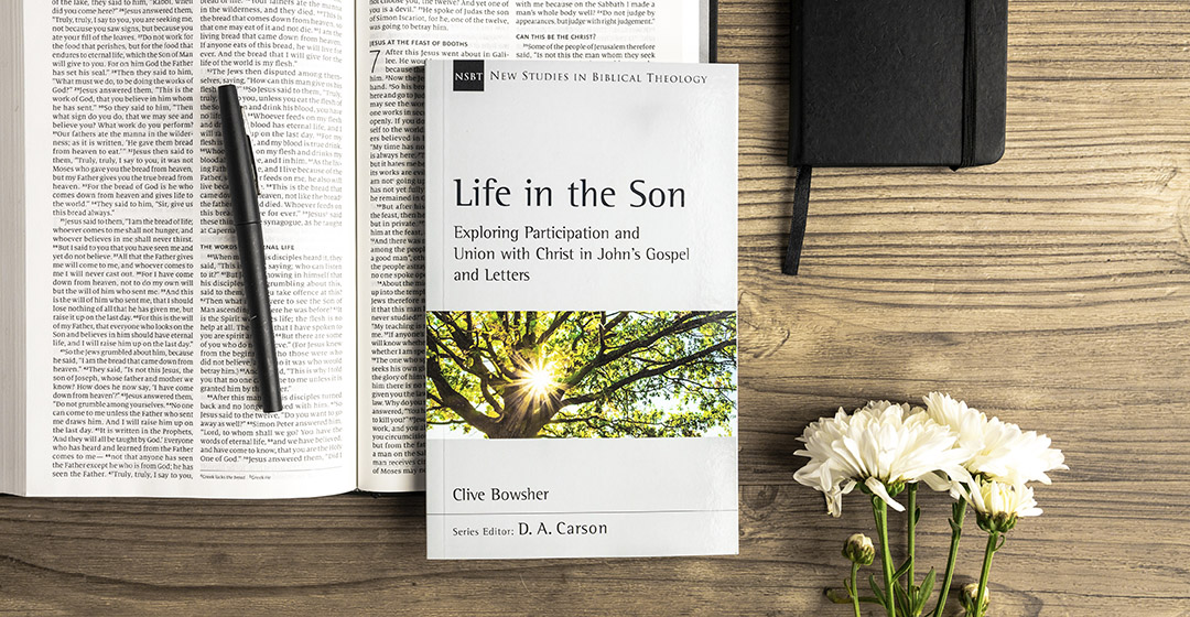 Life in the Son cover on desk