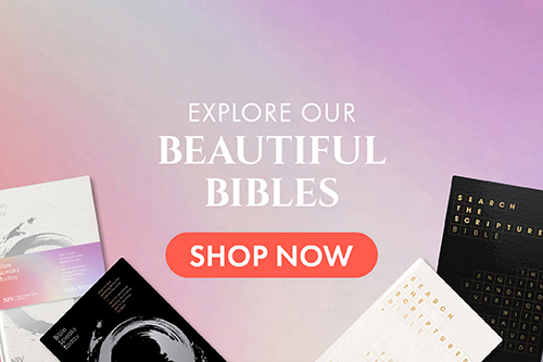 Beautiful and Bestselling Bibles