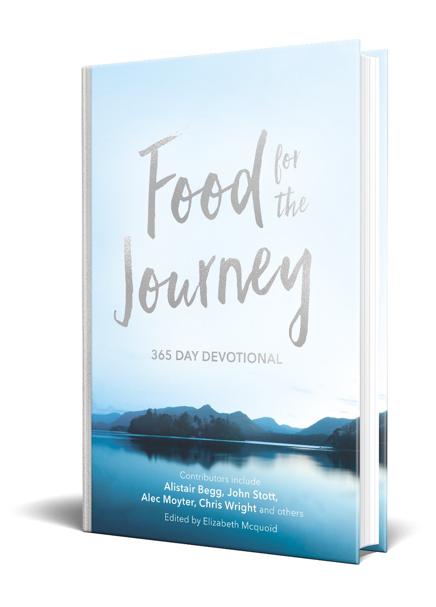 Food for the Journey 3D cover